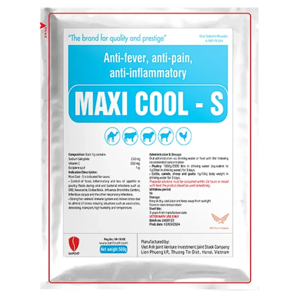 Maxi Cool - S