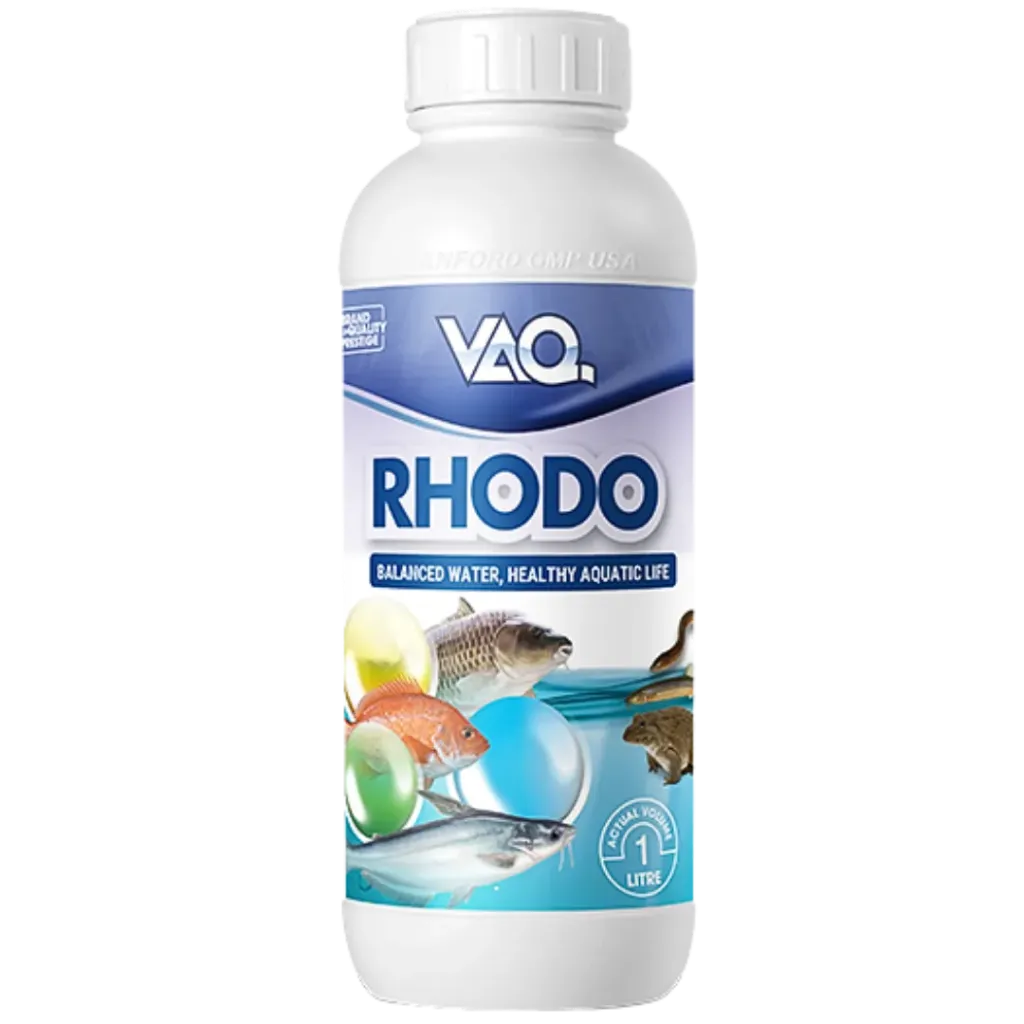 Vaq.Rhodo