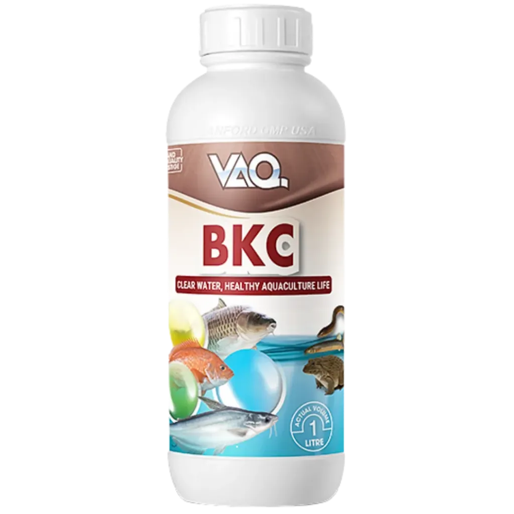 Vaq.Bkc 80%