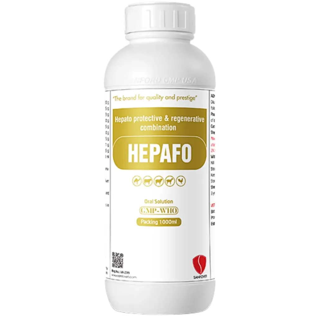 Hepafo