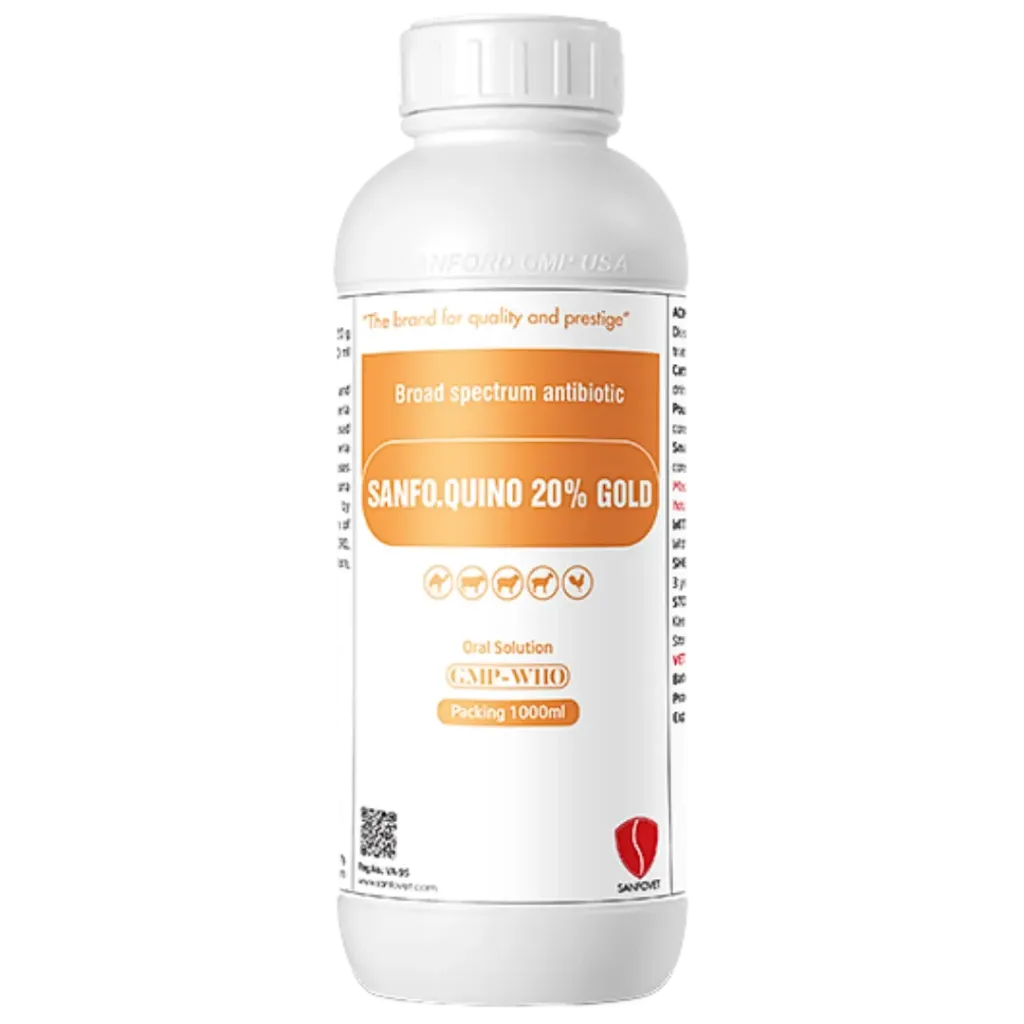 Sanfo.Quino 20% Gold