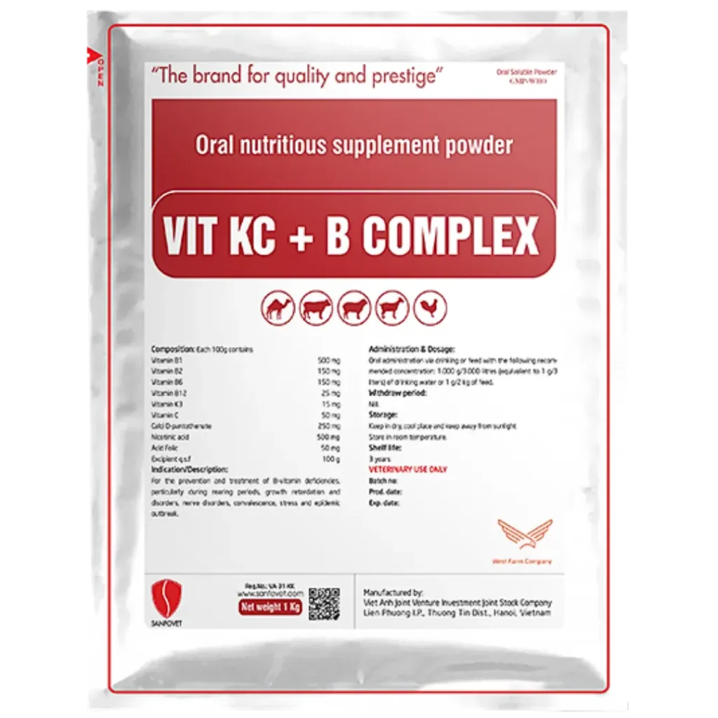 Vit Kc + B Complex