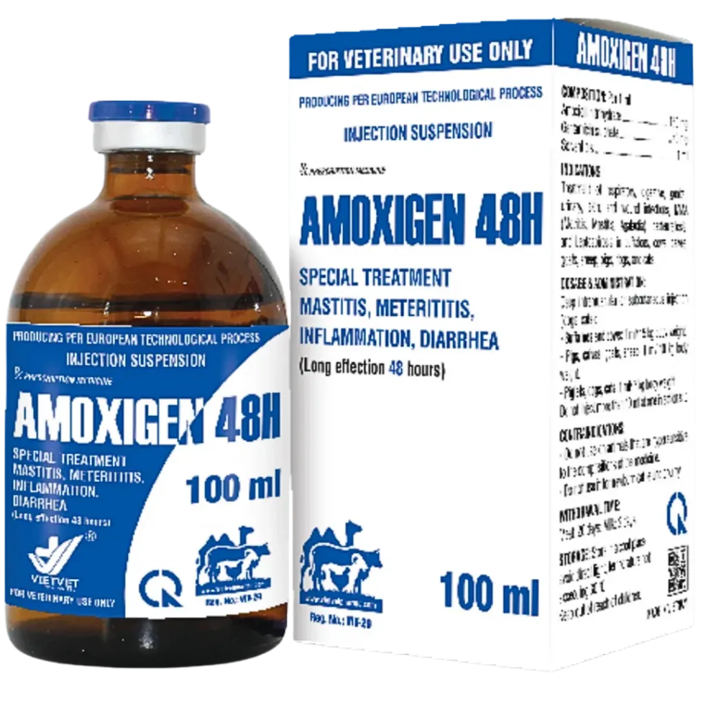 Amoxigen 48H